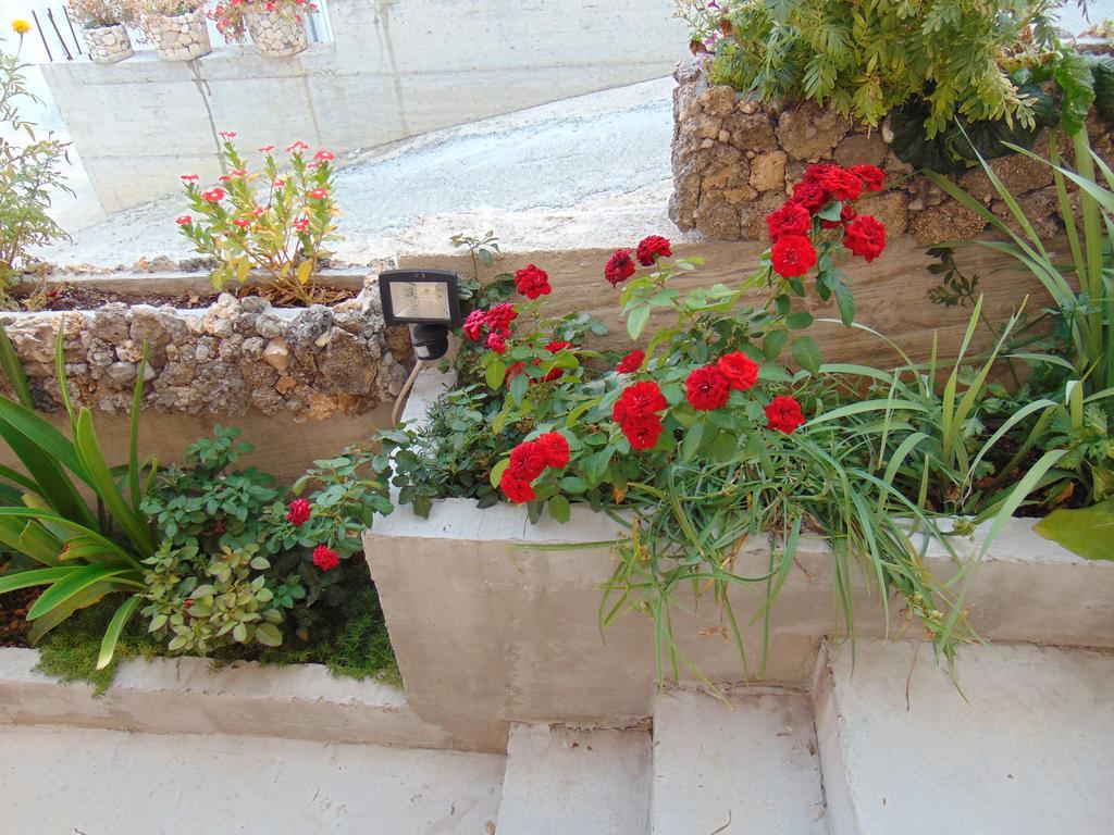 Apartment Ljubica Ljuban Makarska Exterior photo