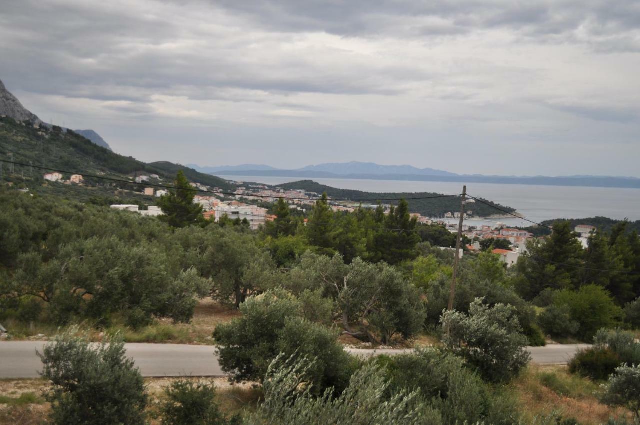 Apartment Ljubica Ljuban Makarska Exterior photo